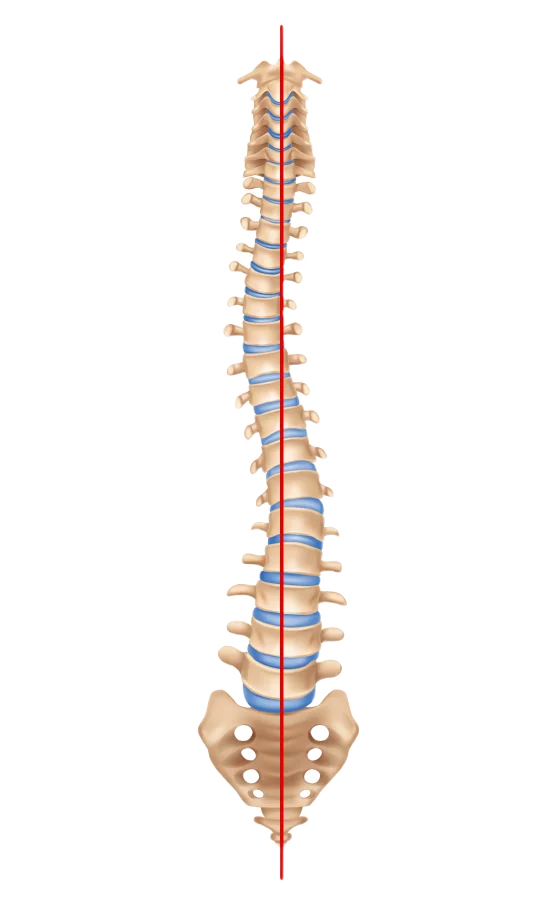 Julie Haddad Osteopathe A Mios Af